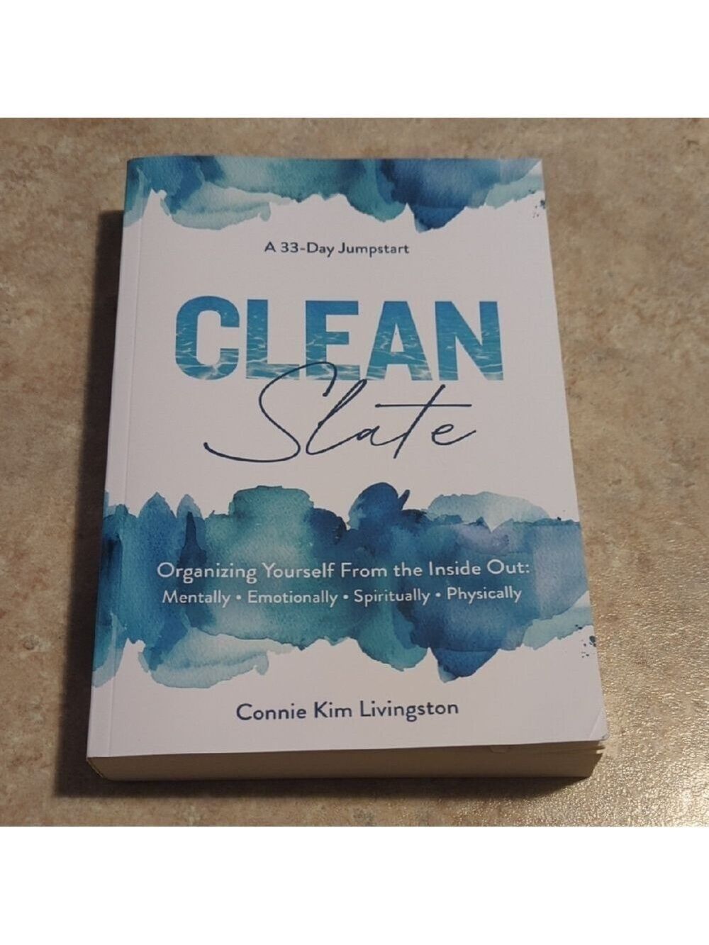 Connie Kim Livingston Clean Slate Book